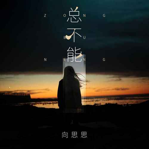 总不能