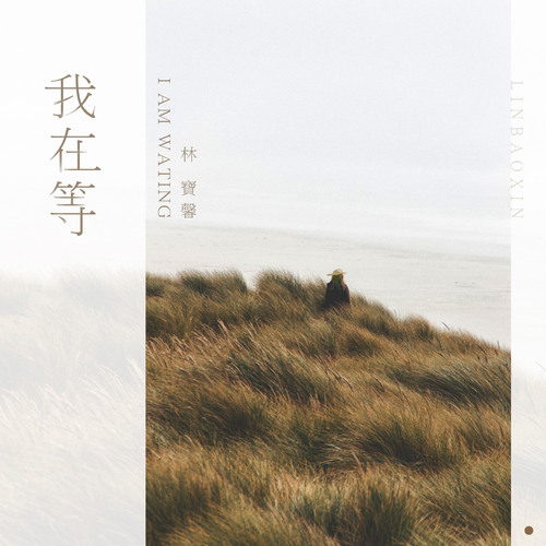 我在等吉他谱 林宝馨 C调吉他弹唱谱