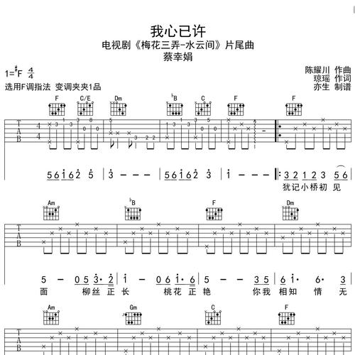 我心已许