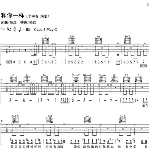 和你一样吉他谱 李宇春 C调吉他弹唱谱