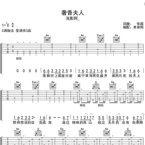 奢香夫人