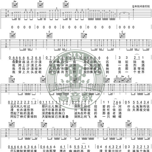 沙漠骆驼