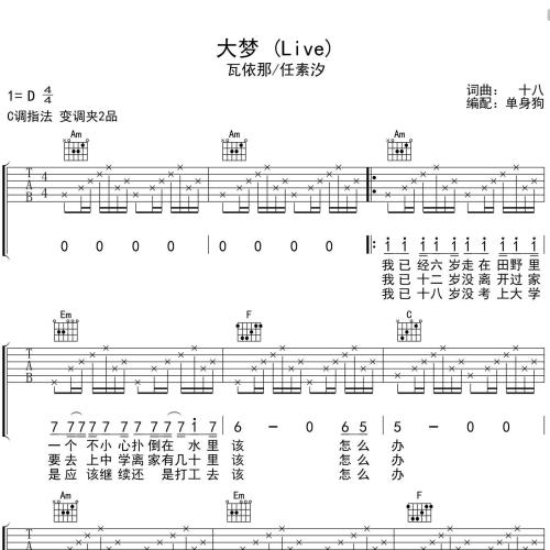 《大梦》吉他谱-瓦依那/任素汐-C调弹唱伴奏吉他谱