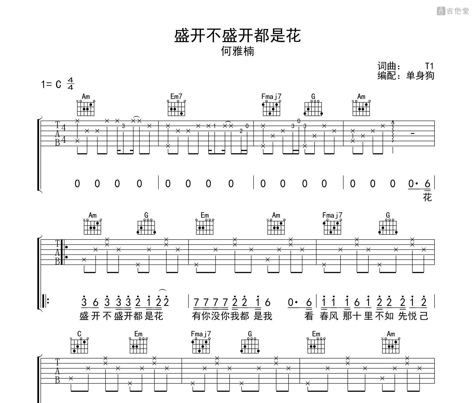 盛不盛开都是花吉他谱