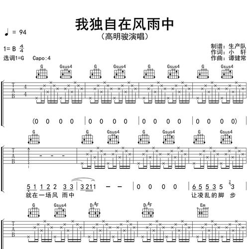我独自在风雨中