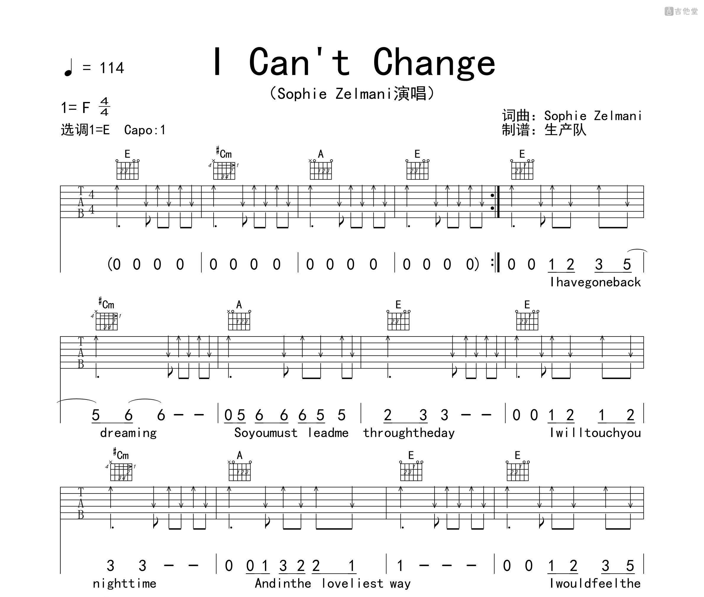 i-can-t-change-sophie-zelmani-e