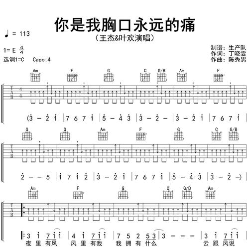你是我胸口永远的痛