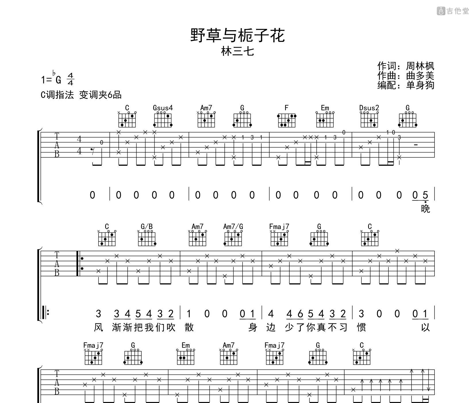 野草与栀子花吉他谱_林三七_C调弹唱谱_高清六线谱_吉他帮