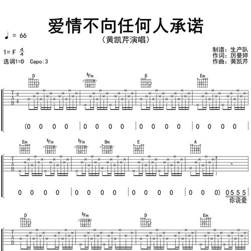 爱情不向任何人承诺