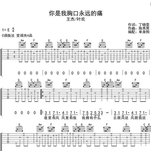 你是我胸口永远的痛