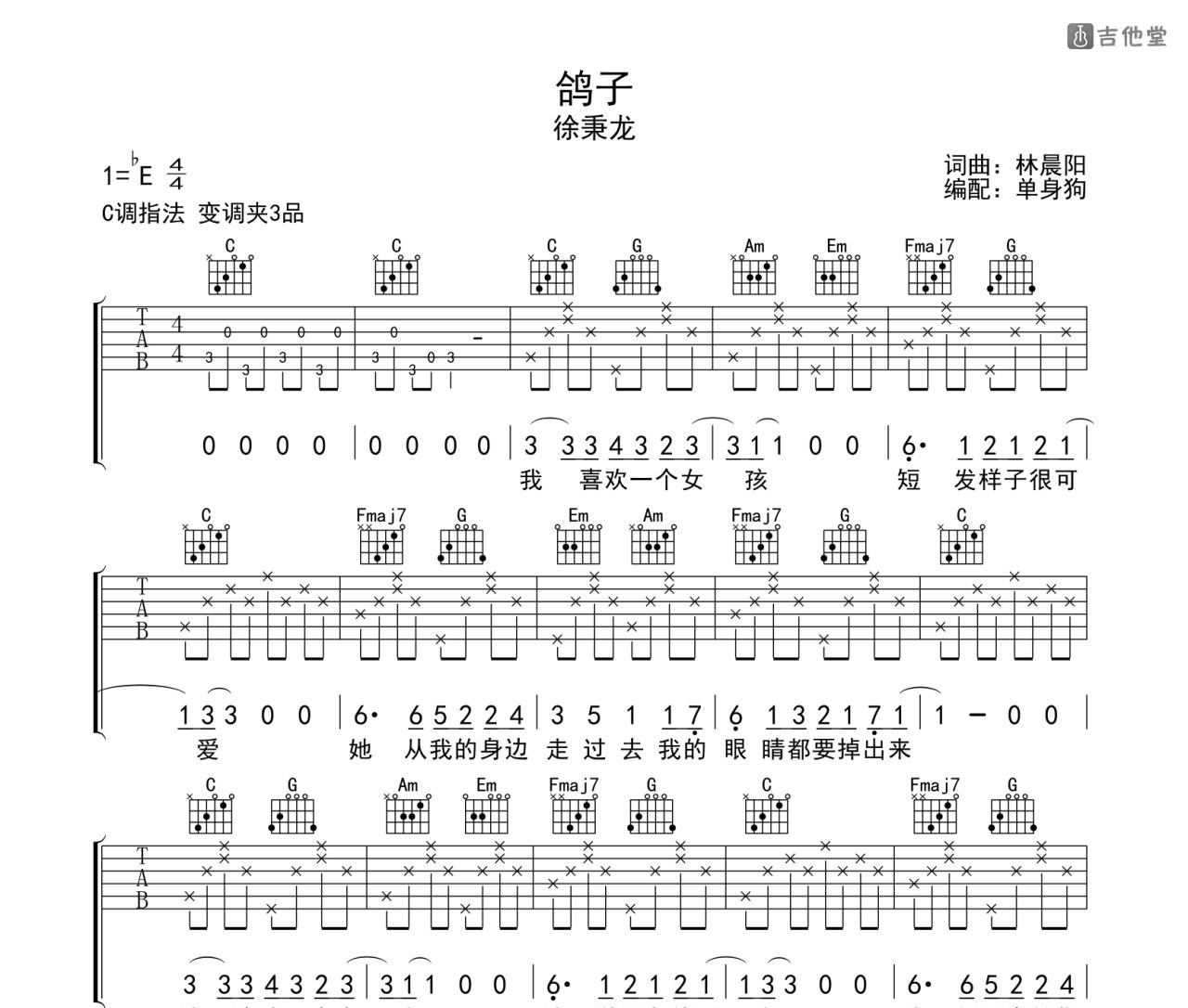 鸽子吉他谱