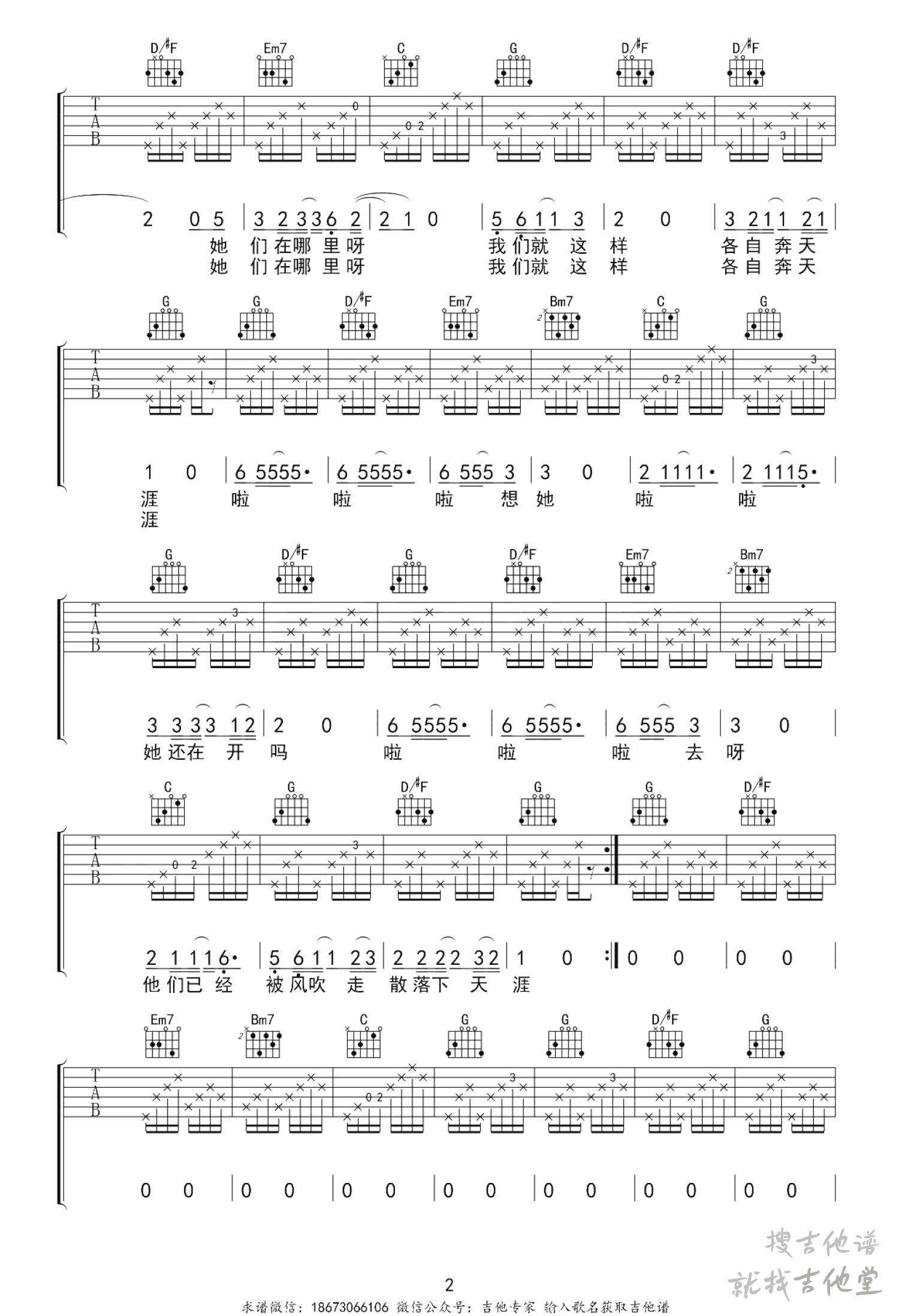那些花儿吉他谱吉他专家编配吉他堂-2