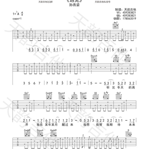 遇见吉他谱 孙燕姿 C调吉他伴奏谱(天韵吉他)