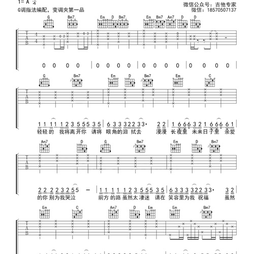 大约在冬季吉他谱 齐秦 G调演奏版吉他六线谱附演示教程(吉他专家)
