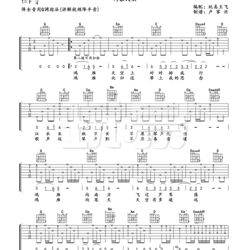 鸿雁