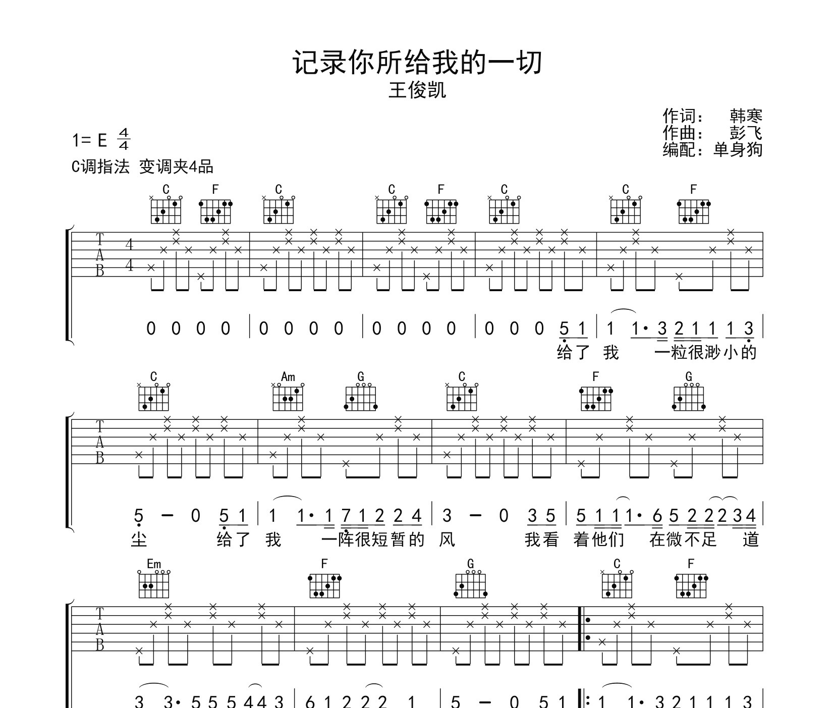 记录你所给我的一切吉他谱