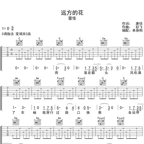 远方的花