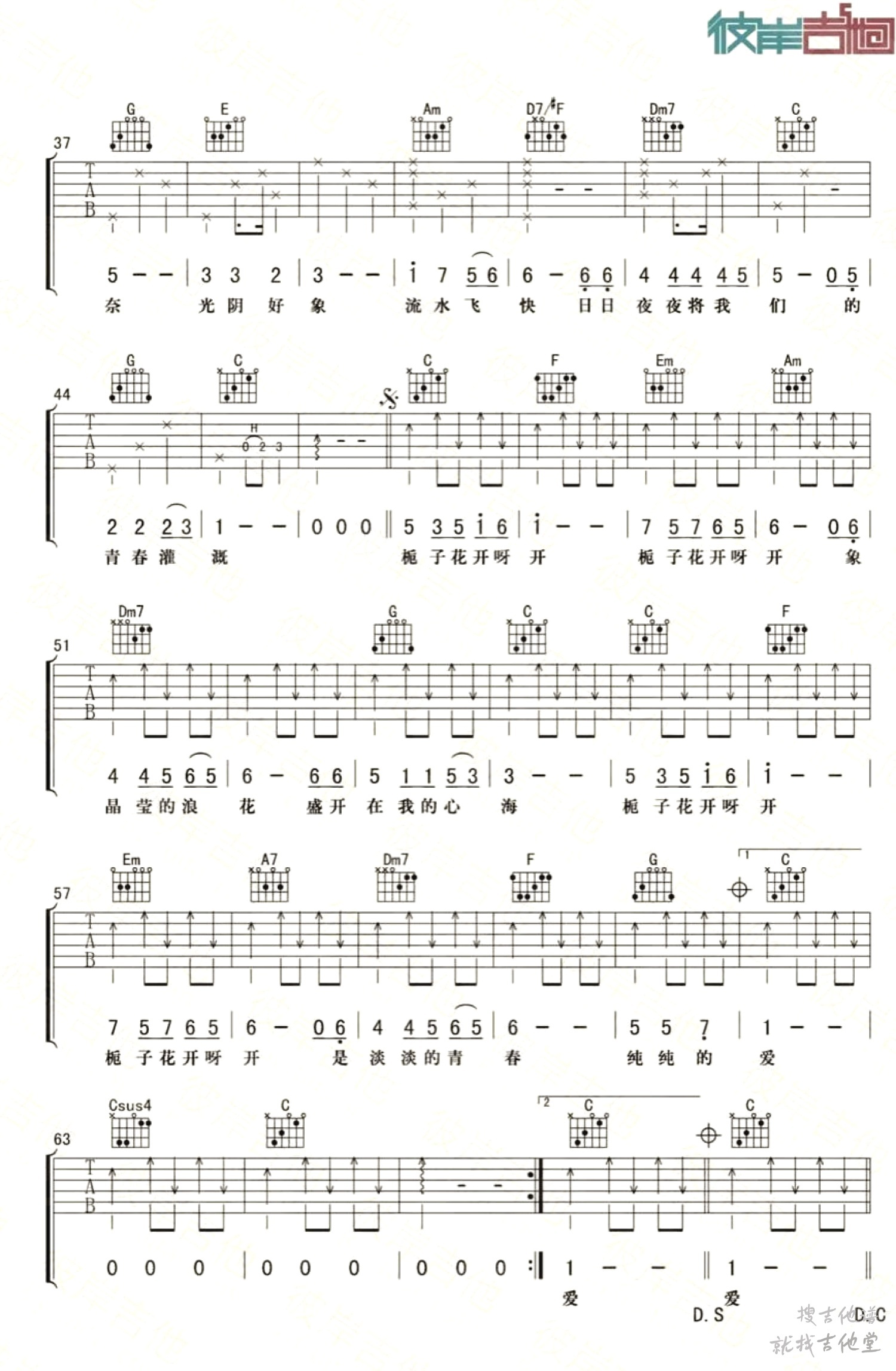 栀子花开吉他谱彼岸吉他编配吉他堂-2