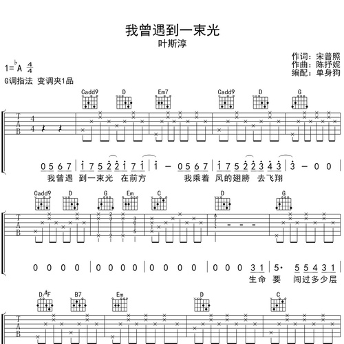 我曾遇到一束光