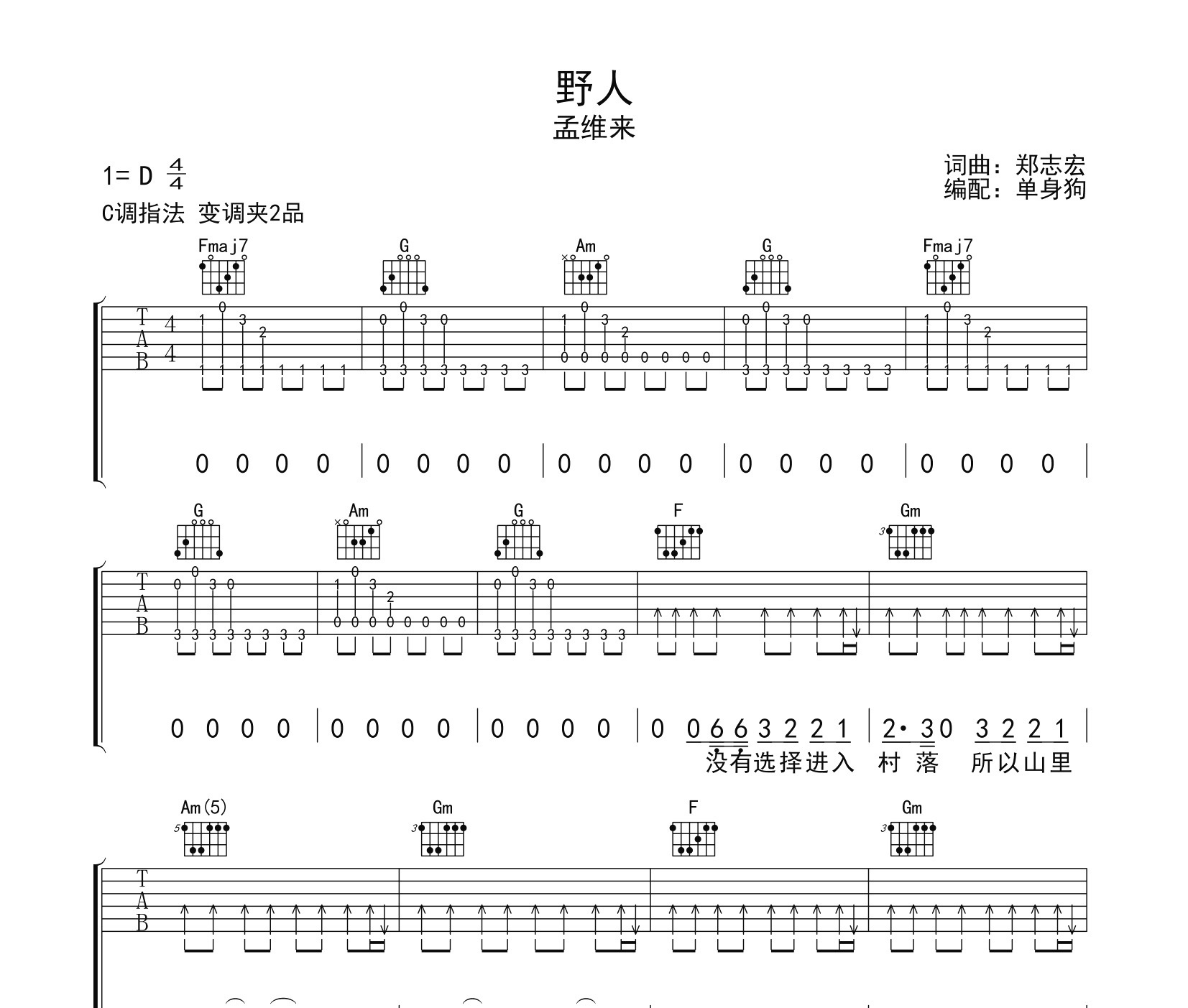 野人吉他谱