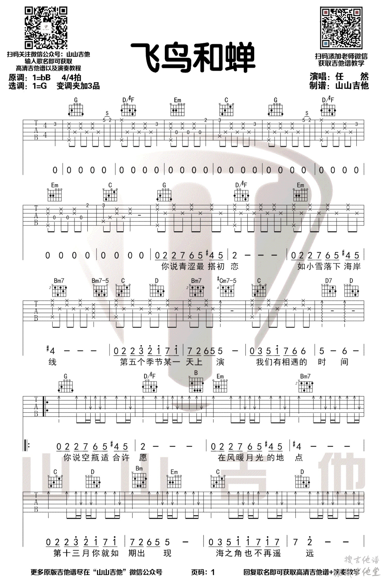 飞鸟和蝉吉他谱山山吉他编配吉他堂-1