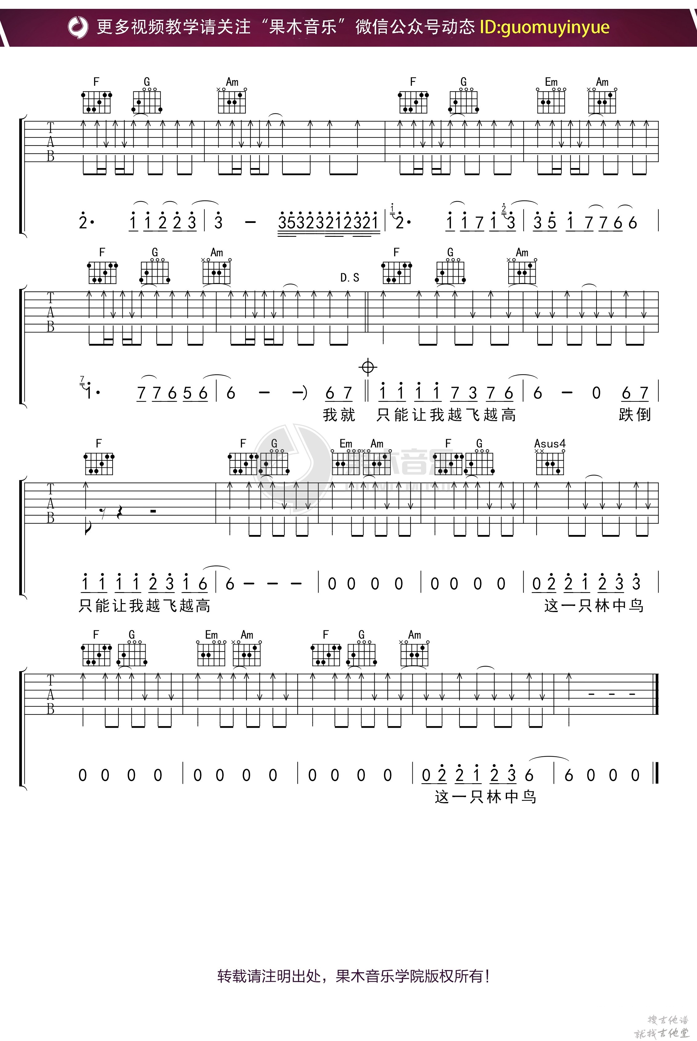 林中鸟吉他谱果木音乐编配吉他堂-3