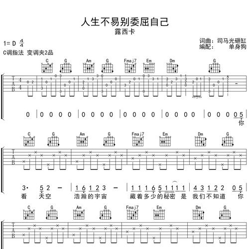 人生不易别委屈自己吉他谱 露西卡 弹唱伴奏吉他谱 C调版