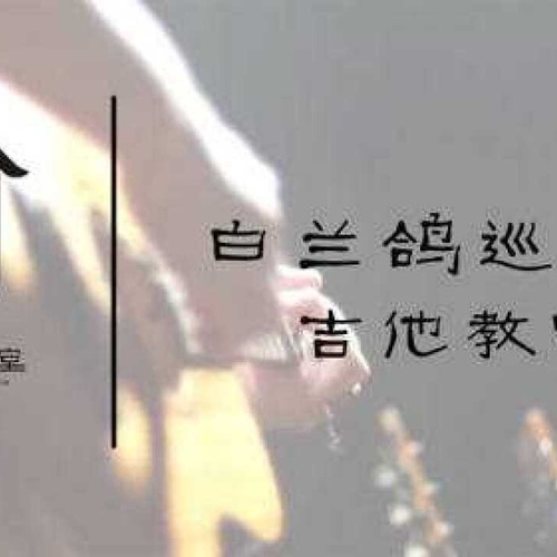 白兰鸽巡游记
