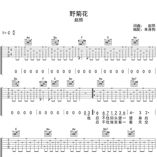 野菊花