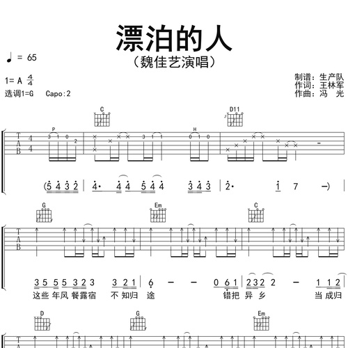 《漂泊的人（烟嗓版）》吉他谱 魏佳艺 G调伴奏吉他谱