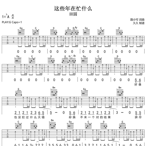 《这些年在忙什么》吉他谱 田园 G调弹唱吉他谱