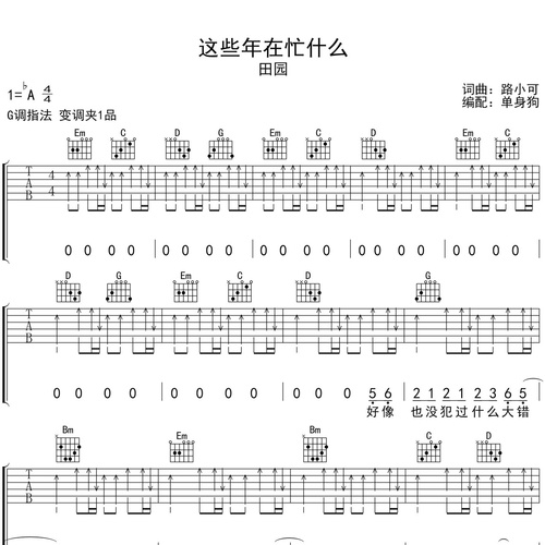 《这些年在忙什么》吉他谱_田园_吉他伴奏谱_G调版