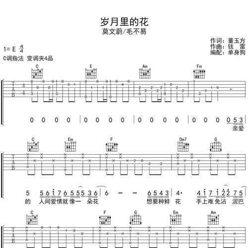 岁月里的花