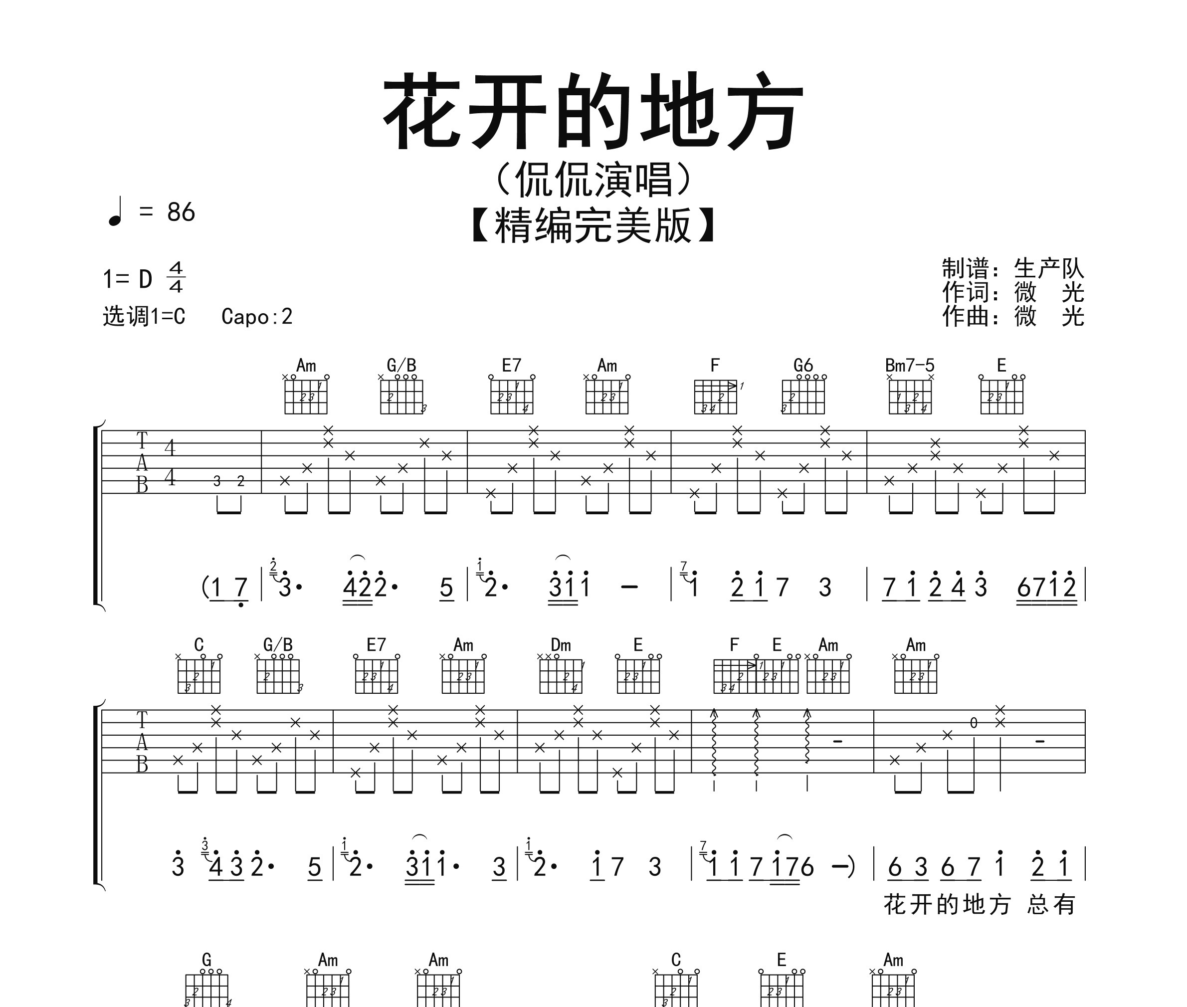 花开的地方吉他谱