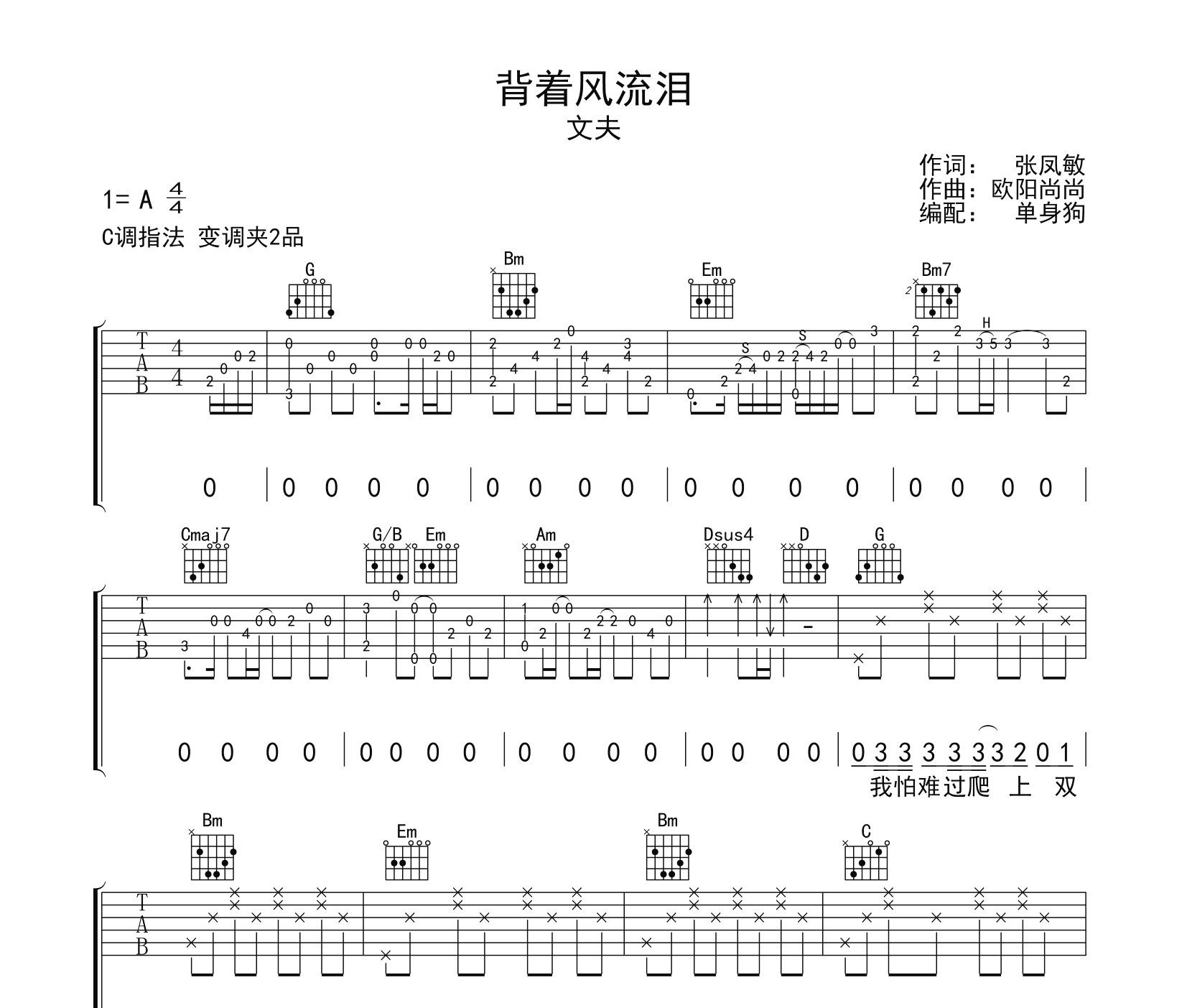 背着风流泪吉他谱