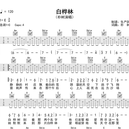 《白桦林》吉他谱 朴树 C调弹唱伴奏谱