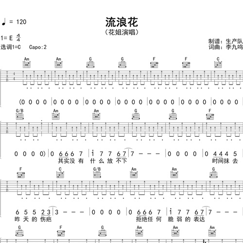 《流浪花》吉他谱_花姐_弹唱伴奏吉他谱_C调版
