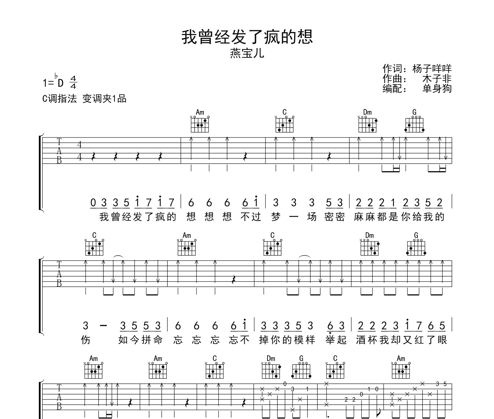 我曾经发了疯的想吉他谱