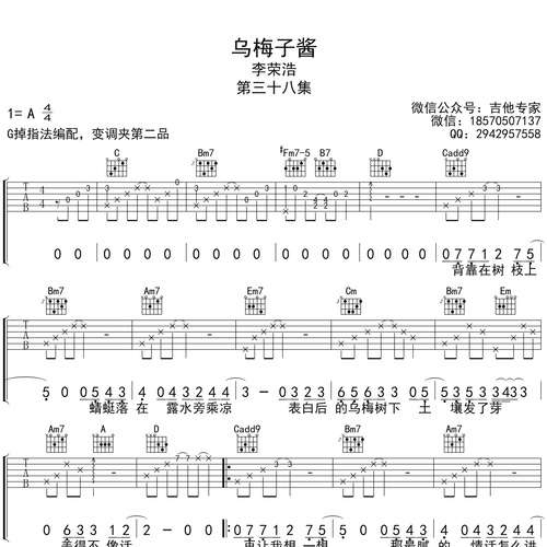 乌梅子酱