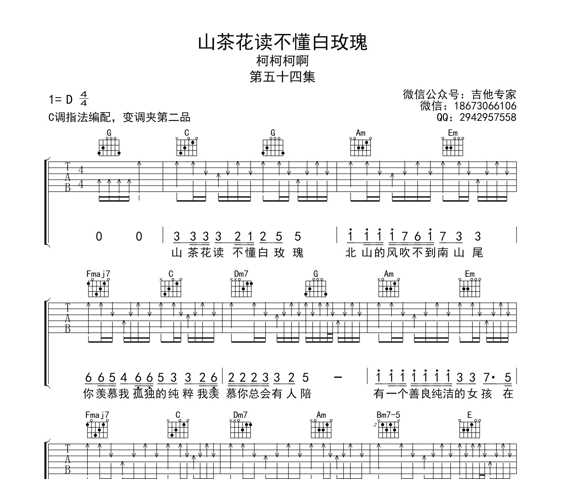 山茶花读不懂白玫瑰吉他谱