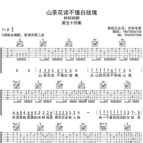 山茶花读不懂白玫瑰