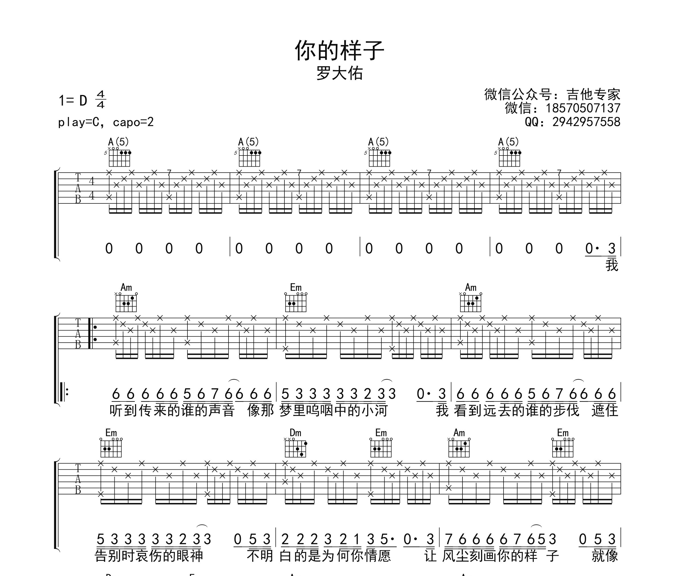 你的样子吉他谱