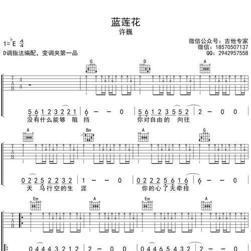 蓝莲花吉他谱 许巍 D调演奏版吉他六线谱