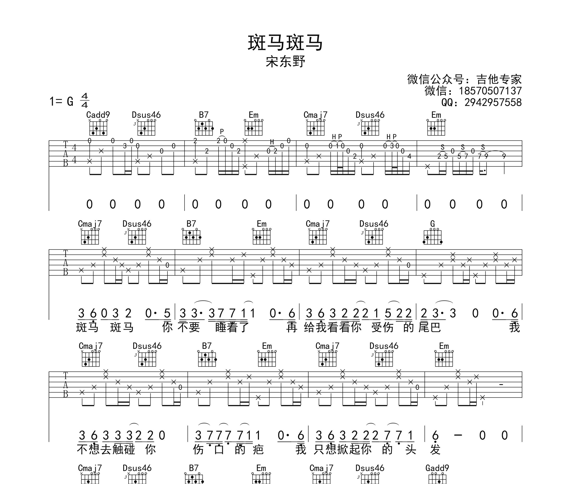 斑马斑马吉他谱