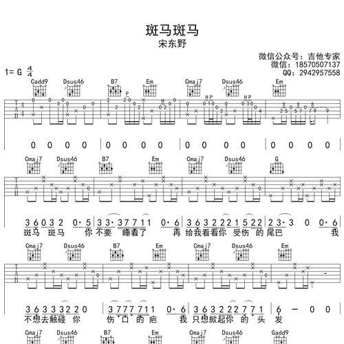 斑马斑马