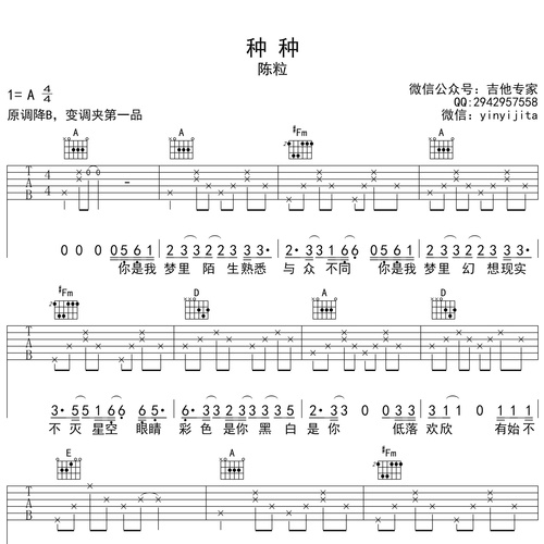 《种种》吉他弹唱谱_陈粒演唱_G调吉他谱
