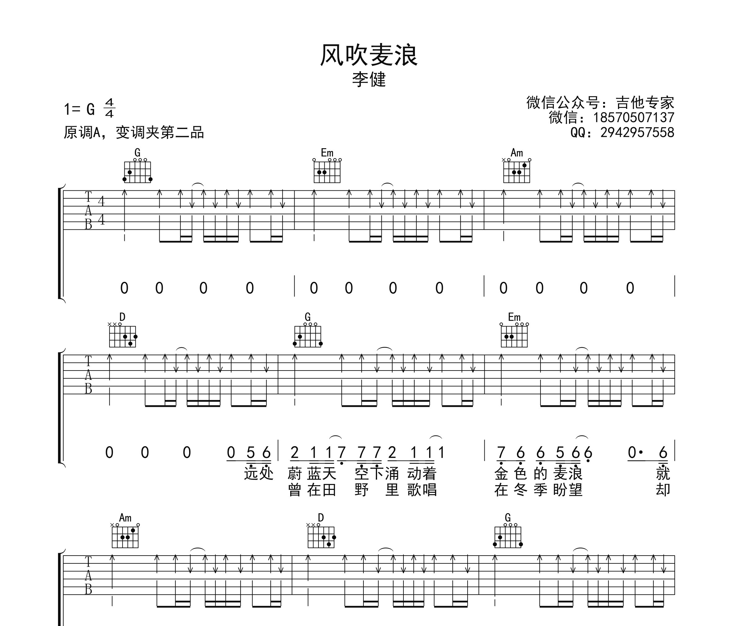 风吹麦浪吉他谱