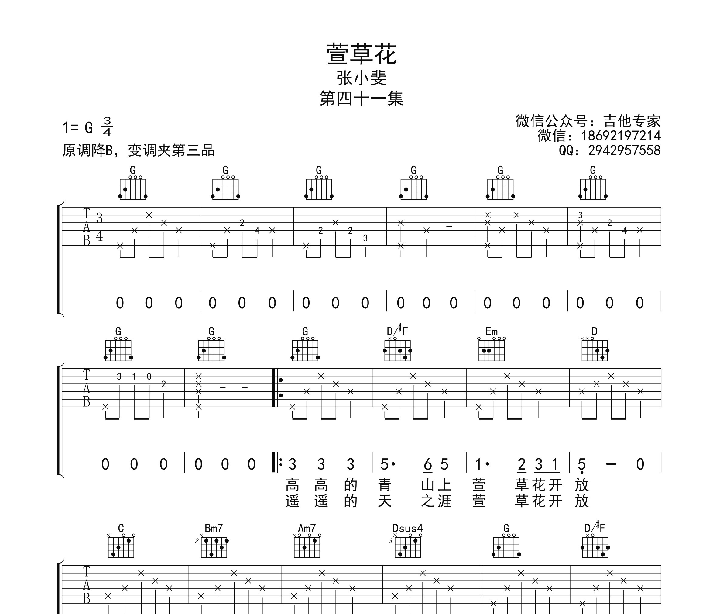 萱草花吉他谱