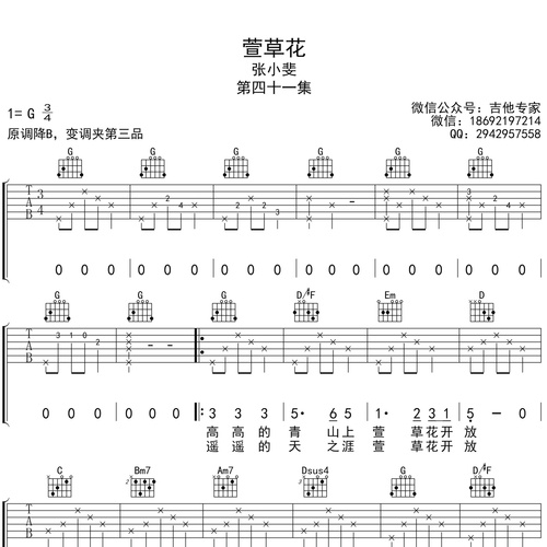 萱草花吉他谱 张小斐 C调演奏版吉他六线谱