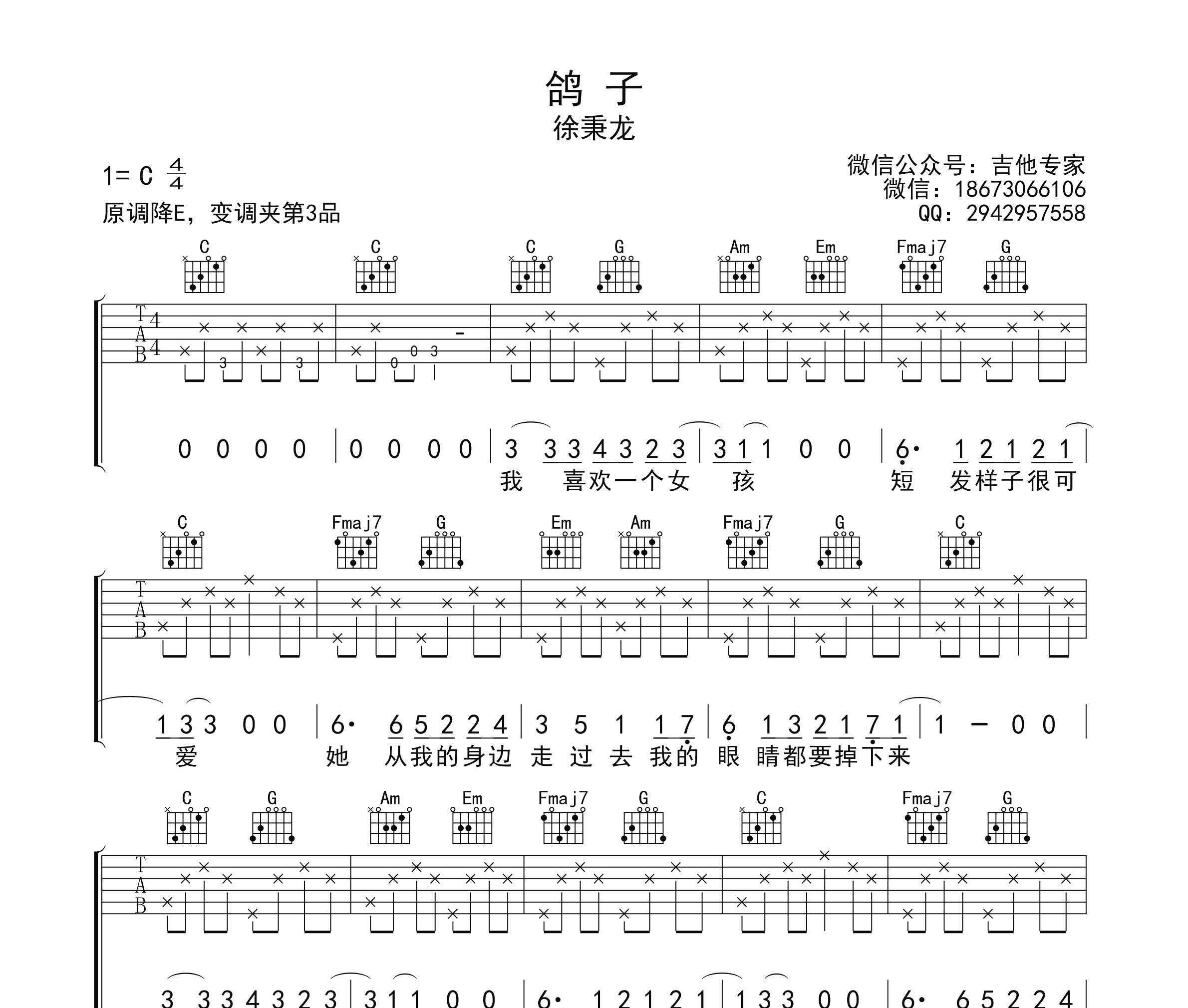 鸽子吉他谱